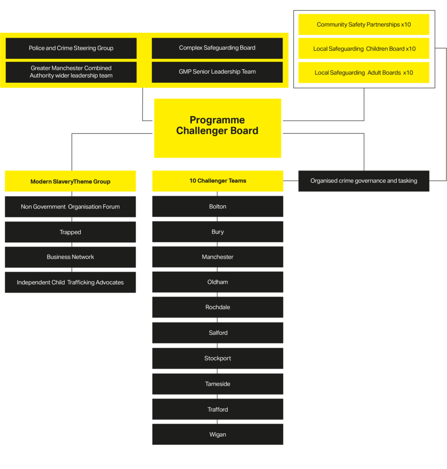 Programme Challenger Strategy Diagram