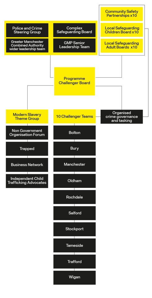 Programme Challenger Strategy Diagram